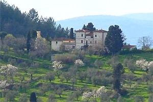 Villa Pelago(Florenz) zu mieten