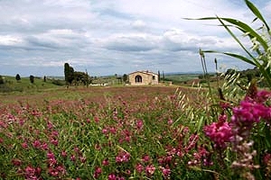 Casa rural Sinalunga