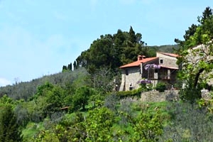 Landhuis Castelfranco di Sopra