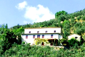 Casa rural Pisa