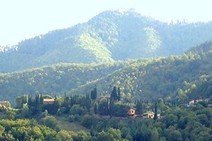 Casa rural Montevarchi (Arezzo)