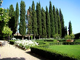 Villa Barberino d`Elsa