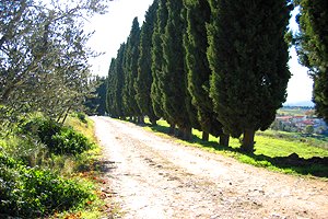 Villa San Donato in Fronzano