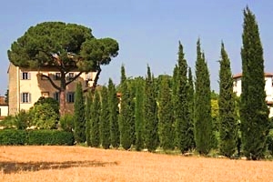 Ancienne villa Arezzo