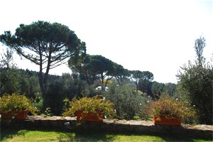 Villa Capraia(Florenz) zu mieten