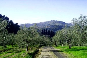 Villa San Polo in Chianti