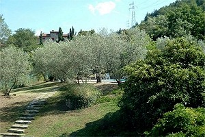 Villa San Polo in Chianti