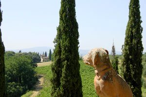 Castle Florence