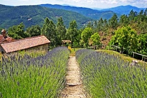 Vakantiehuis Monterchi