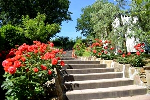 Luxusvilla Arezzo Mieten