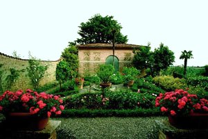 Siena Luxury Villa Rental