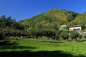 Villa Castelnuovo in Garfagnana