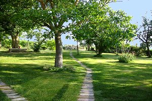 Villa di lusso Cortona