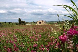 Landhuis Sinalunga