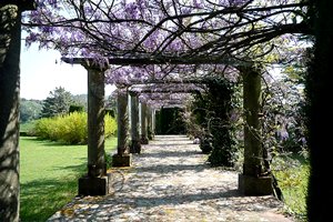 Luxusvilla Arezzo