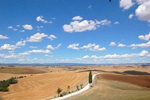 Villa Crete Senesi