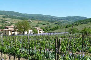 Villas Greve in Chianti