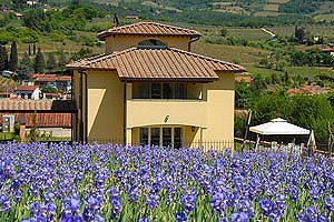 Villas Greve in Chianti