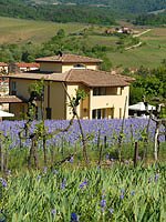 Villa`s Greve in Chianti