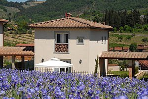 Villa`s Greve in Chianti