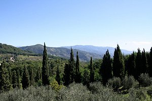 Casa rural Lucca