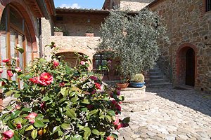 Farmhouse Castelnuovo Berardenga