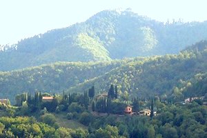 Farmhouse Montevarchi (Arezzo)