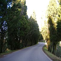 Casa rural Montevarchi (Arezzo)