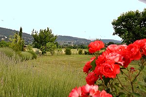 Villa Bagno a Ripoli