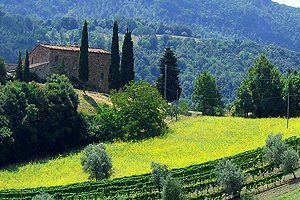 Casa rural Val di Cecina