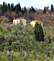 Casa rural Florencia