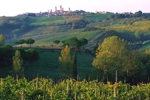 Villa Poggibonsi Siena