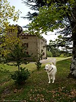 Villa de luxe Barberino di Mugello