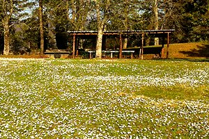 Villa de luxe Barberino di Mugello