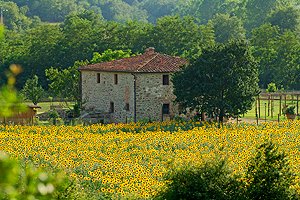 Villa Arezzo