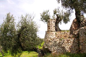 Castello Maremma