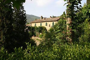 Luxury Villa Cortona