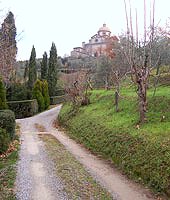 Luxury Villa Cortona