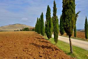 Villa Val d`Orcia