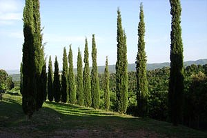 Casa rural Pisa