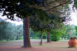 Casa rural Lucignano