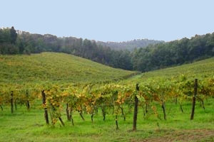 Ferme Motelupo Fiorentino