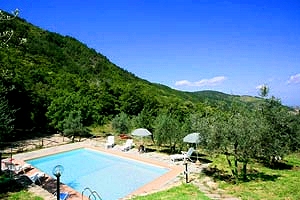 Ferme Greve in Chianti