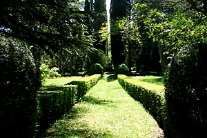 Castillo Montepulciano