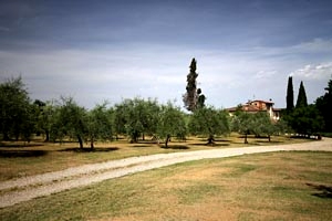 Casa rural Chianti