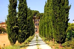 Villa Arezzo