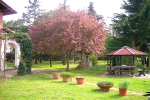 Villa Foiano della Chiana