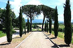 Villa Monte San Savino