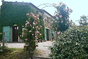 Farmhouse Castagneto Carducci