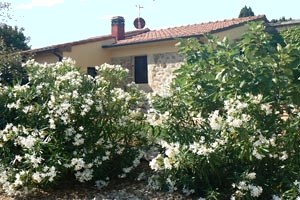 Ferme Castagneto Carducci